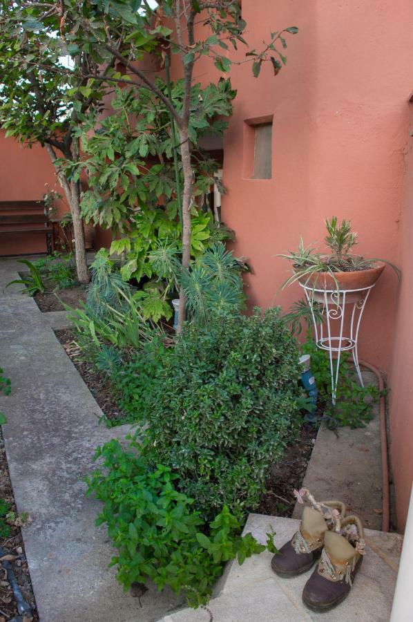The House Dimitra Nea Fokaia Villa Exterior photo